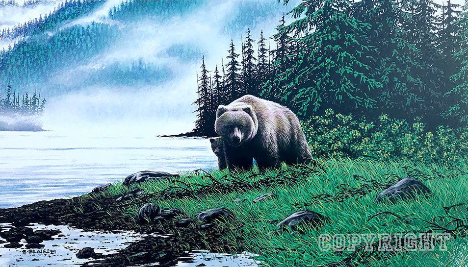 Khutzeymateen Queen – Unframed 12x18” Limited Edition print - 350