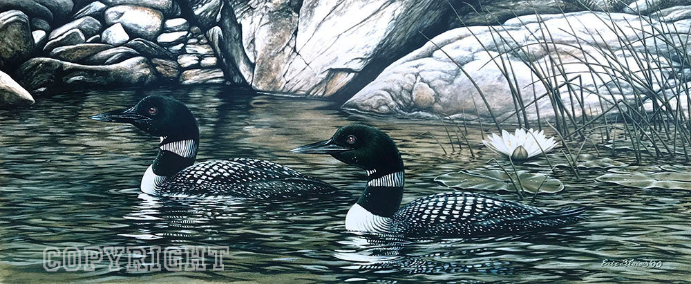 Northern Serenity – 8x19” – Unframed Limited Edition Print - 150